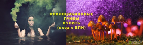 PSILOCYBIN Нефтекумск