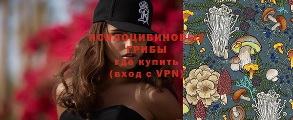 PSILOCYBIN Нефтекумск