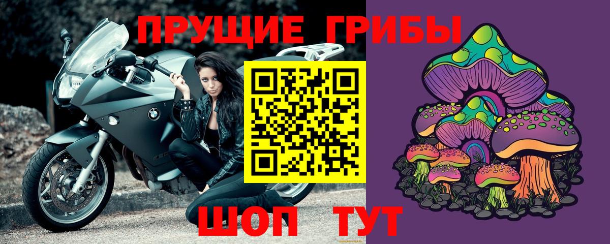 Псилоцибиновые грибы мицелий Красногорск