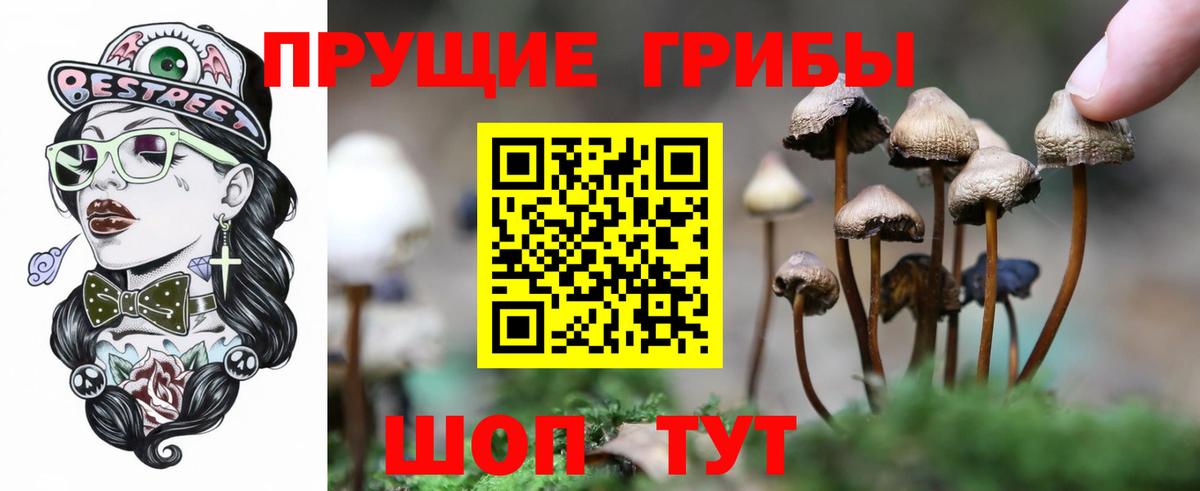 Галлюциногенные грибы Psilocybe  Вход с VPN  Красногорск 