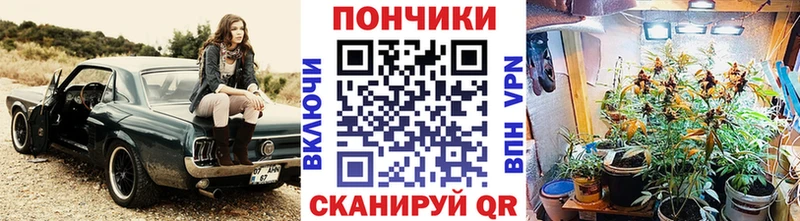 Бошки марихуана ГИДРОПОН Красногорск